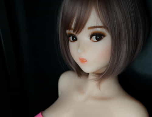 实体娃娃 DollHouse168 New 135cm Plus Nao (C工場製)